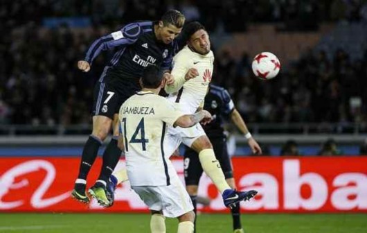 它象征着纯 它象征着纯